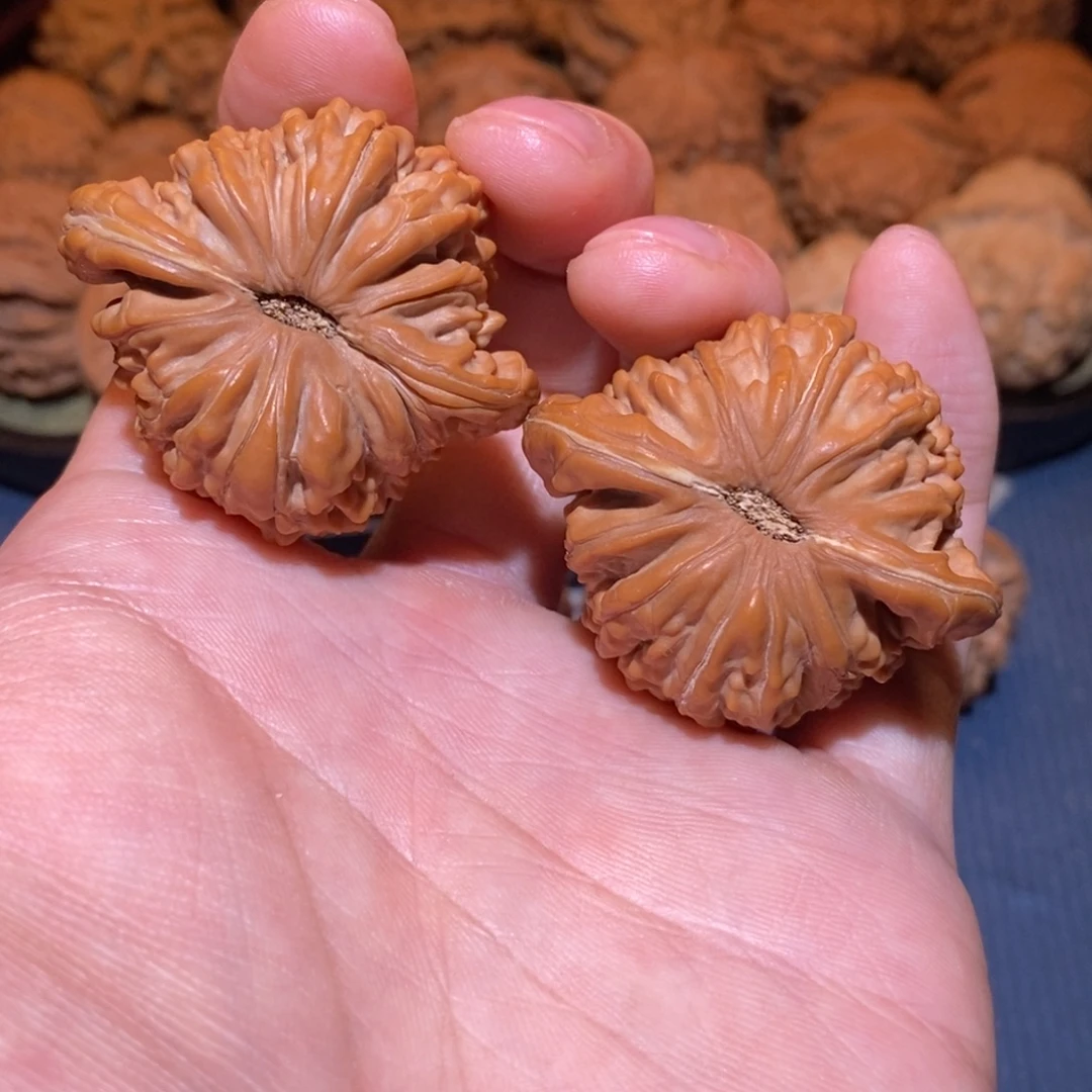 43尺 全品白茬 四座楼