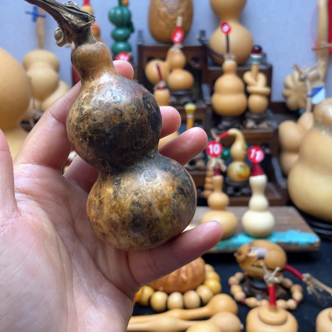 口**天大自然的秘密第十节第一节