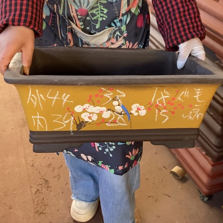 紫砂花盆只顾看手机的