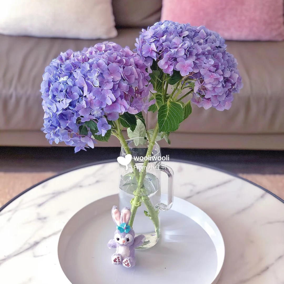 【海紫绣球一支】满30元京东包邮到家