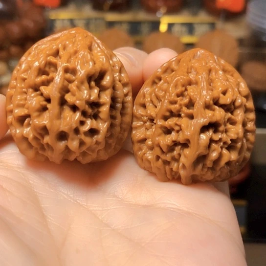 野生小众：卧龙粗筋