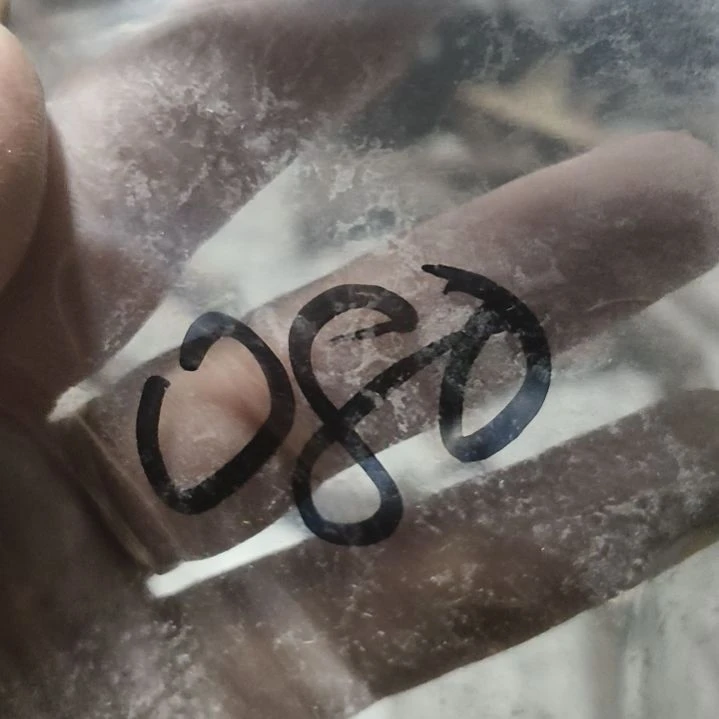 l***g非金属无鹿角鹿角鹿角鹿角鹿角鹿角