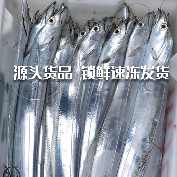 【七六】青岛本地深海带鱼5斤/12-13条每条4两左右