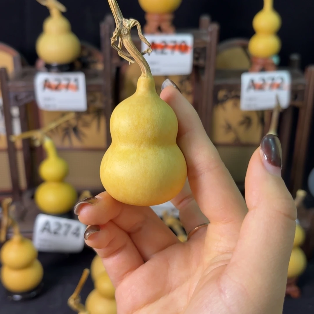 异***人我也不知道我为什么