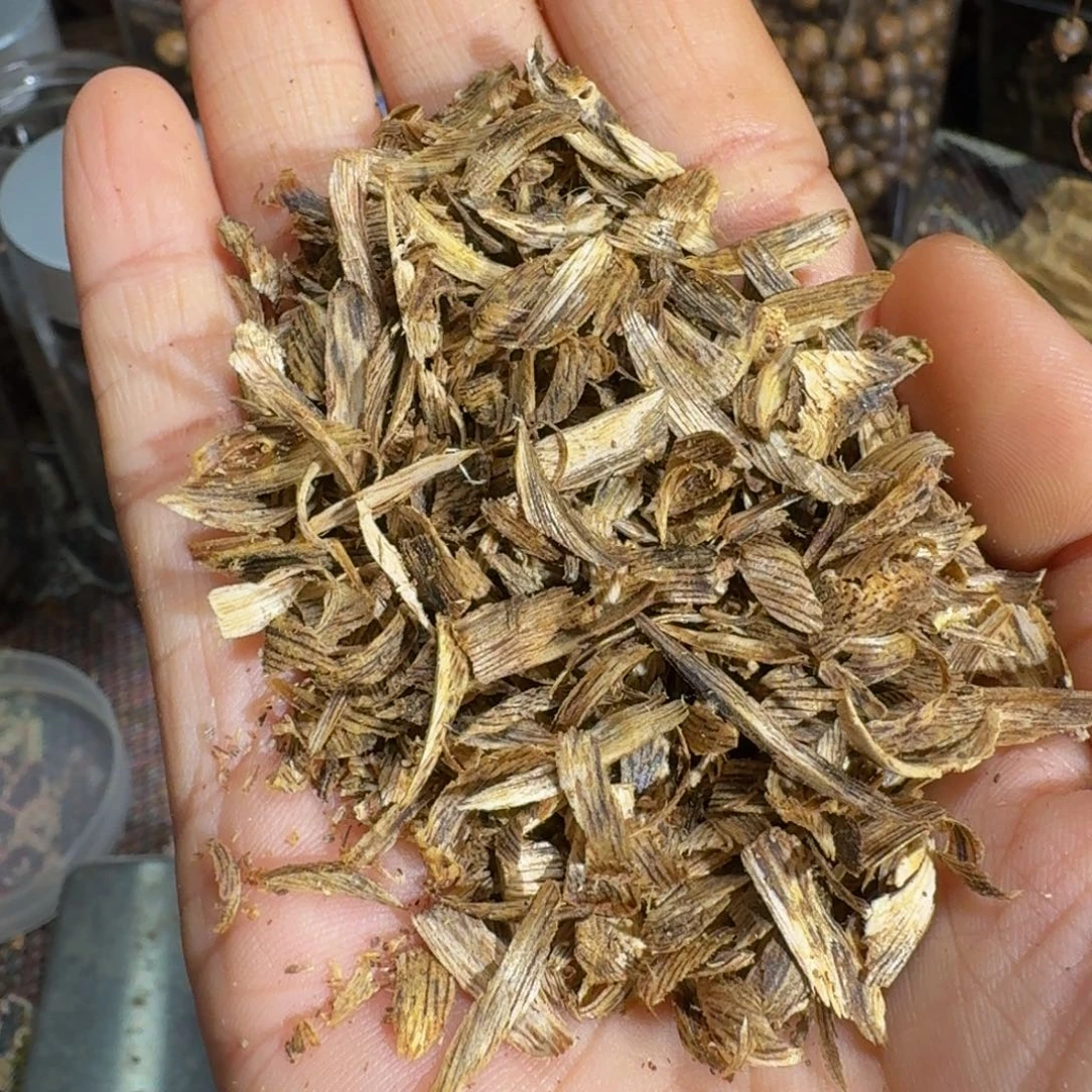 沉香沉香枕蓝宝石勾丝老料30克➕