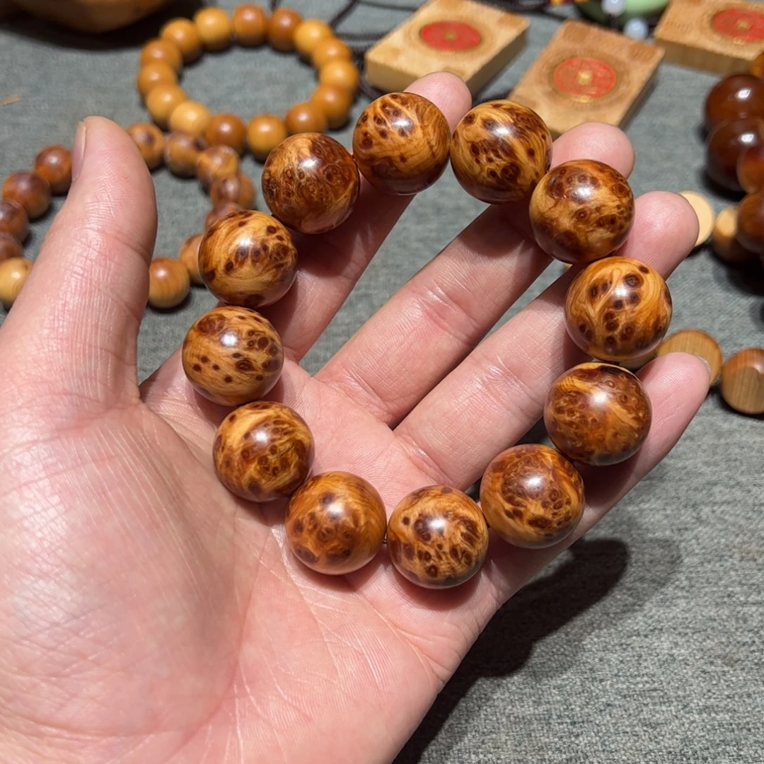 太行崖柏陈化太行