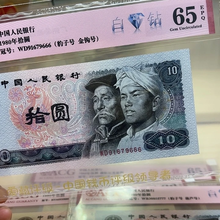 8010白钻豹子666精品