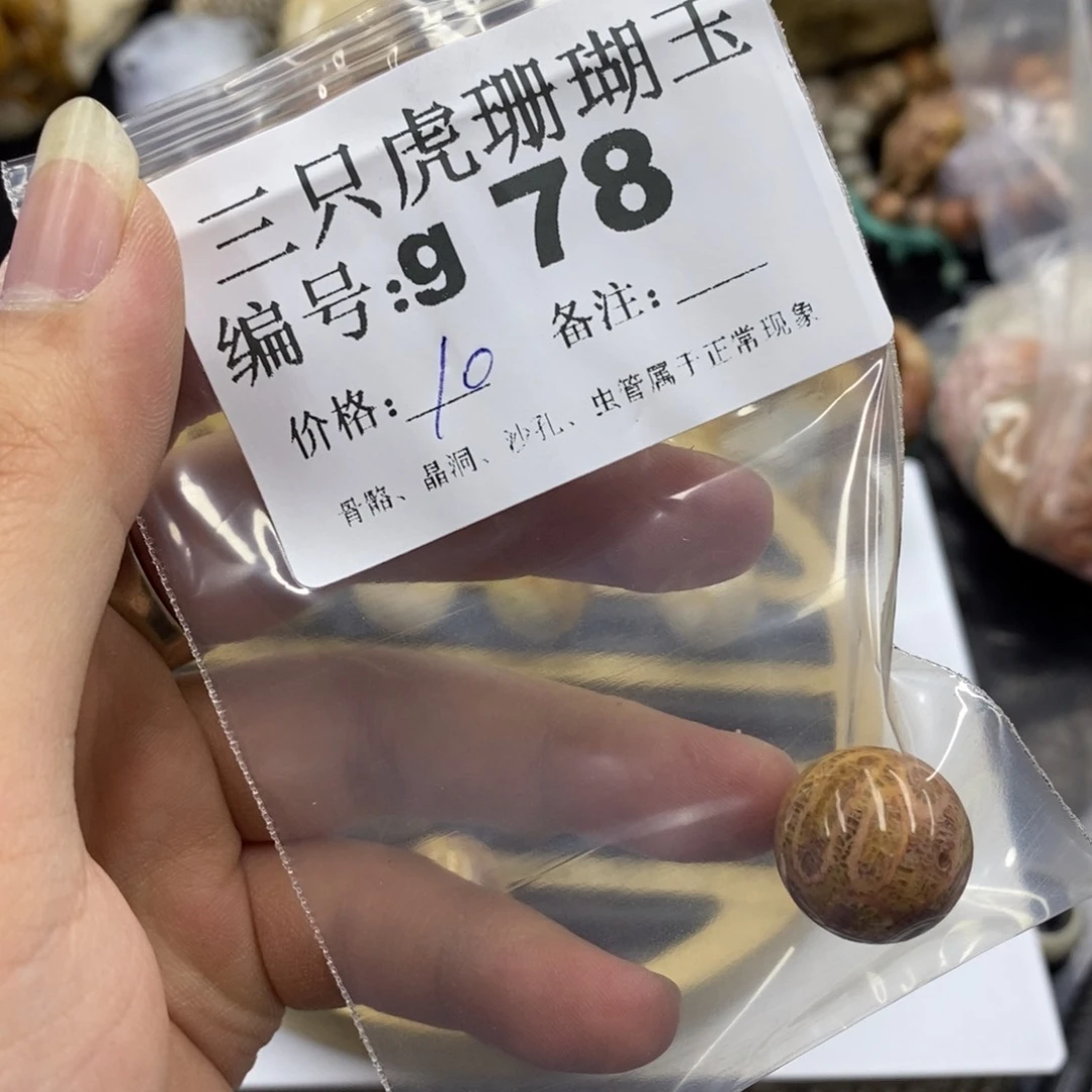 硅化珊瑚（珊瑚玉）未镶嵌1香*儿