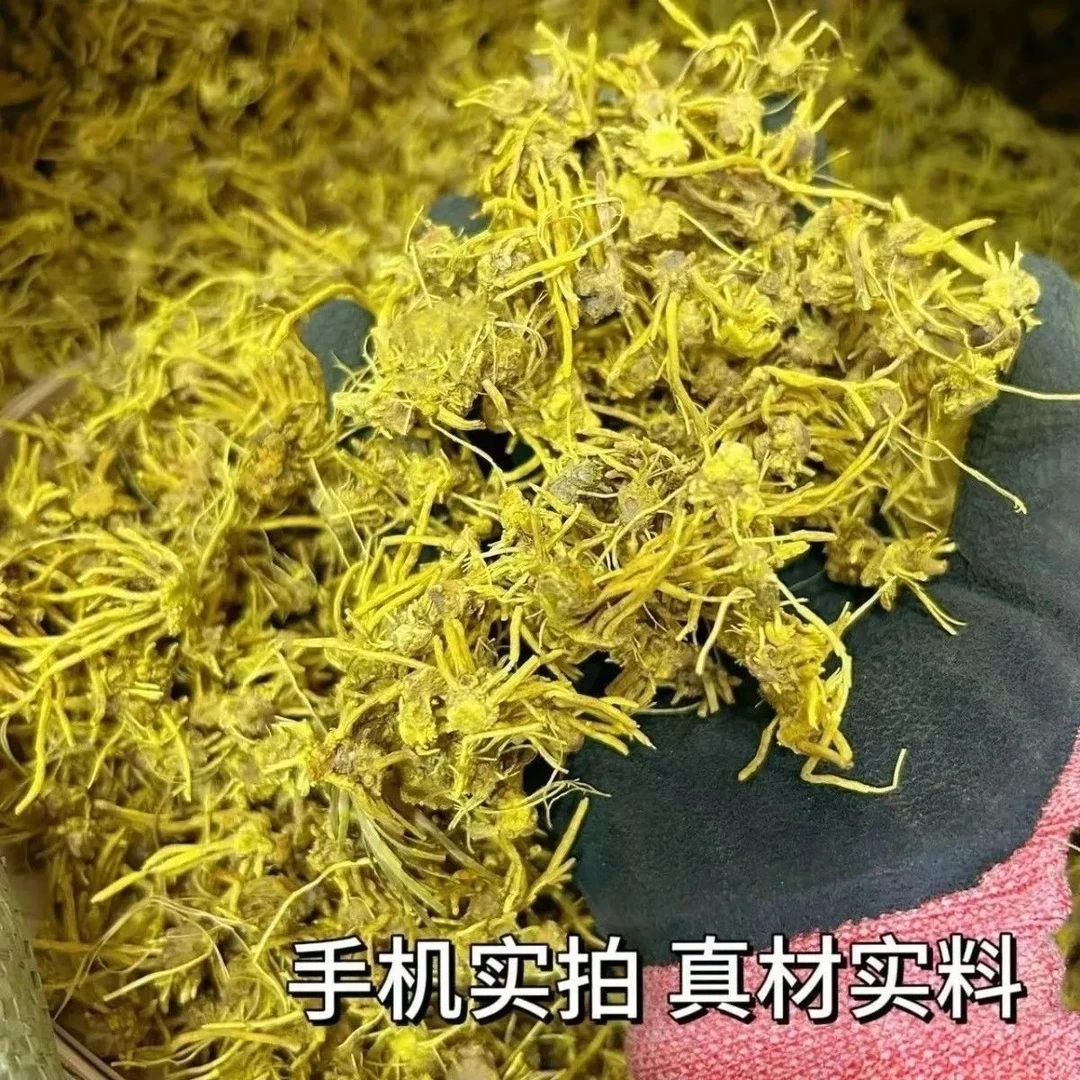 高原山货金龙须黄龙须优选黄龙根品质好