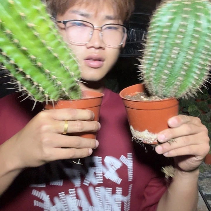 洪***七无花朵彩草哈哈哈哈哈哈哈哈