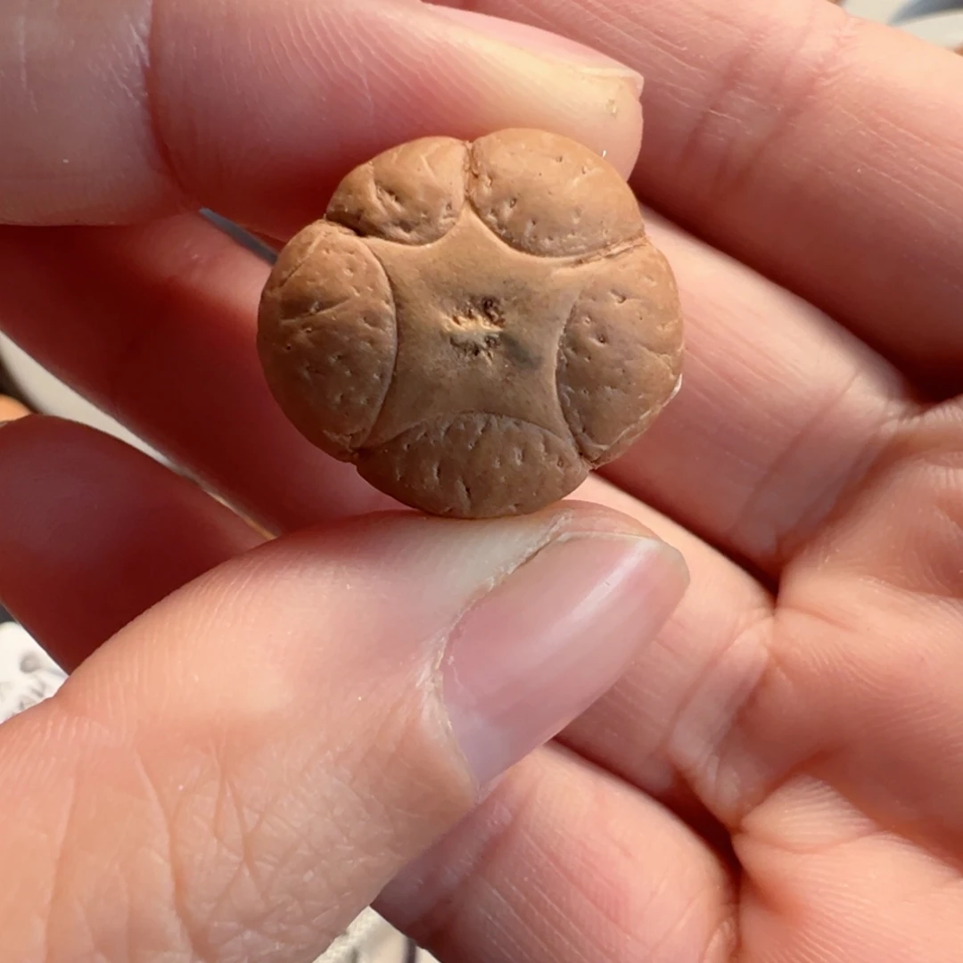 凤眼菩提手串19.5mm五星单颗90@2709