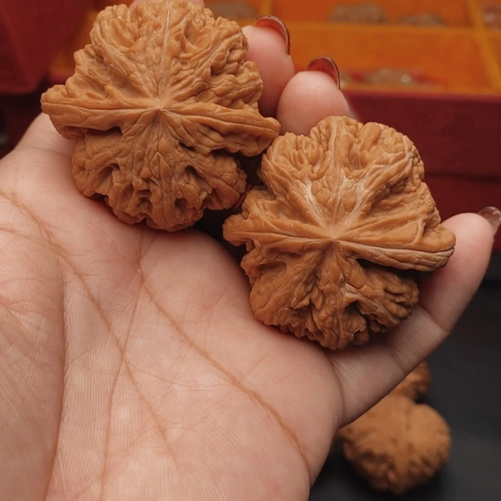 把件桃核大粗筋45尺