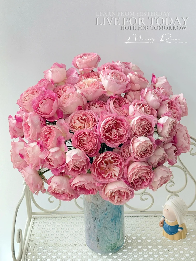 严选美人醉多头玫瑰鲜切花云南基地直发顺丰包邮