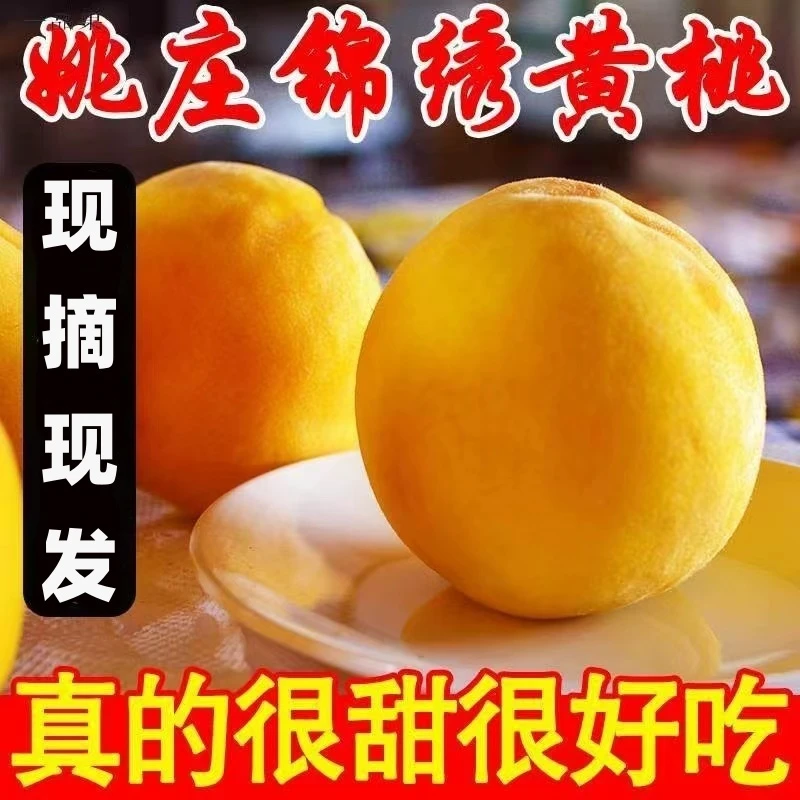 现货正宗嘉善姚庄锦绣黄桃新鲜水果红心大果桃子孕妇应季整箱礼盒