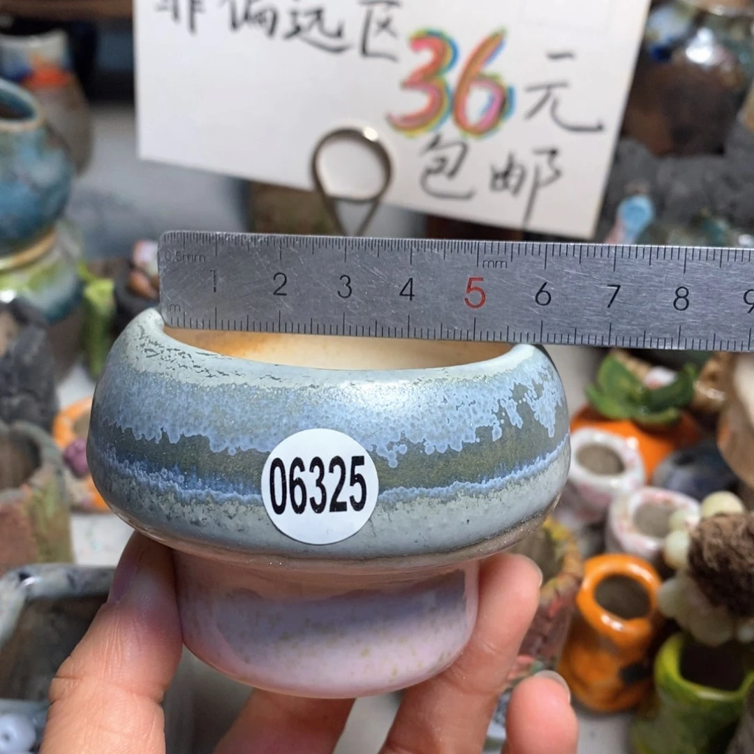 拍5送一个小礼物花盆