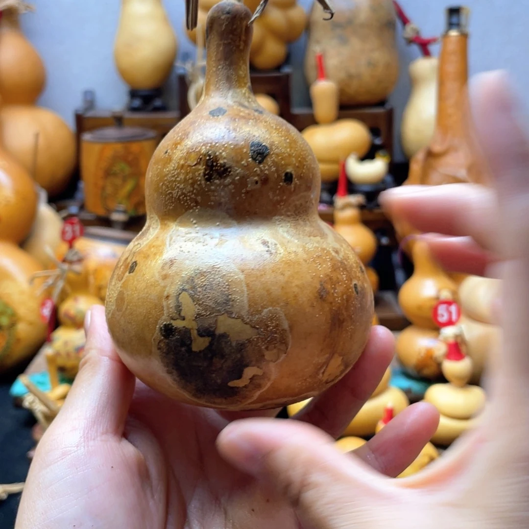 夏*～大自然的秘密第十一节的秘密