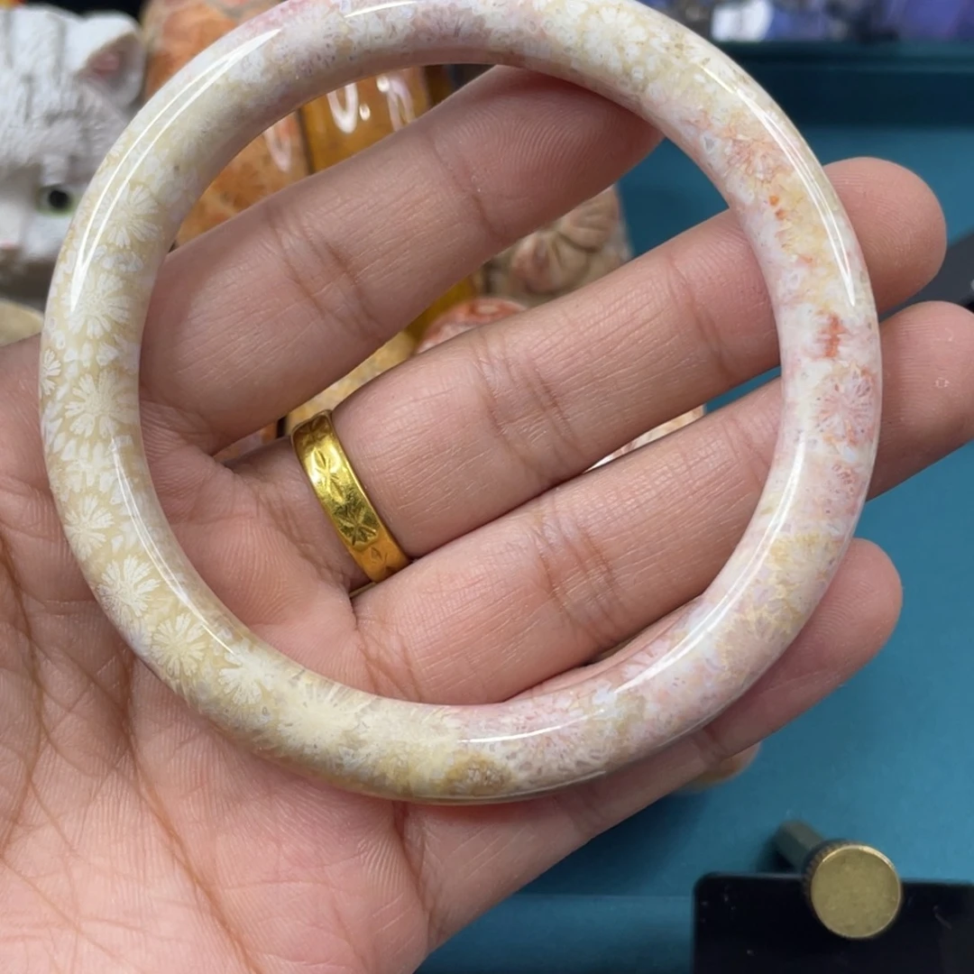 未镶嵌手镯硅化玉