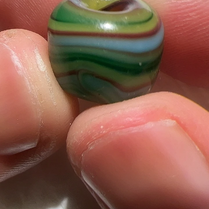 香榧木你是否也有