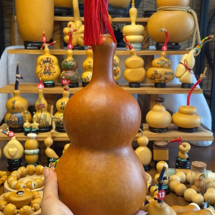 美*天然葫芦自然生长