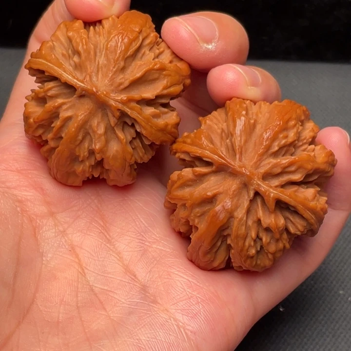 菩提籽类秦岭野生核桃文玩