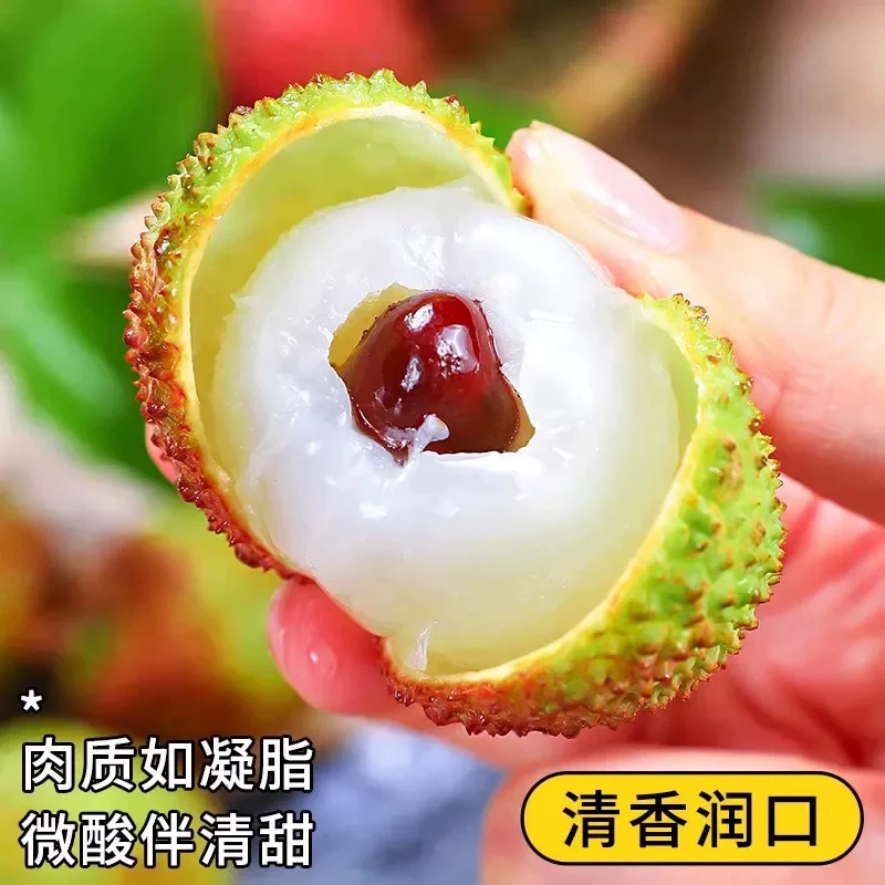 【海南妃子笑荔枝】新鲜老树直采海南妃子笑荔枝3-5斤荔枝同城送