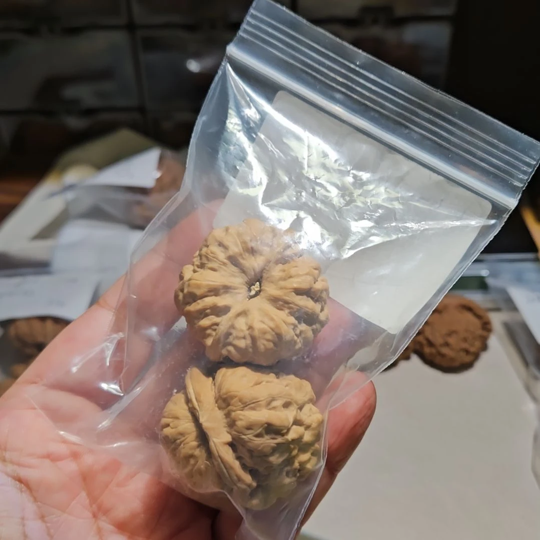 把件文玩核桃维*HA057