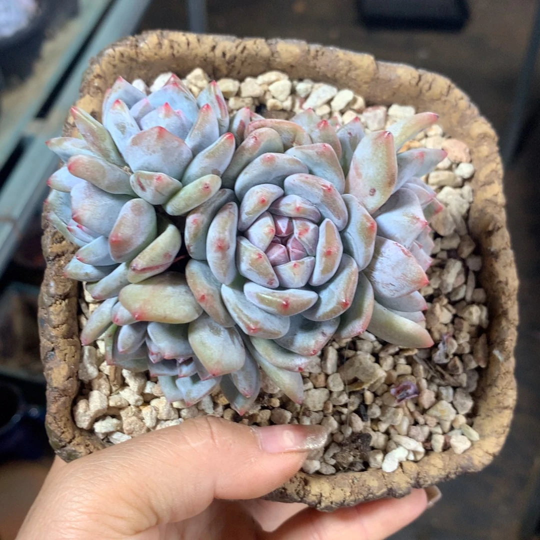 哈哈哈哈哈哈哈哈哈哈哈哈