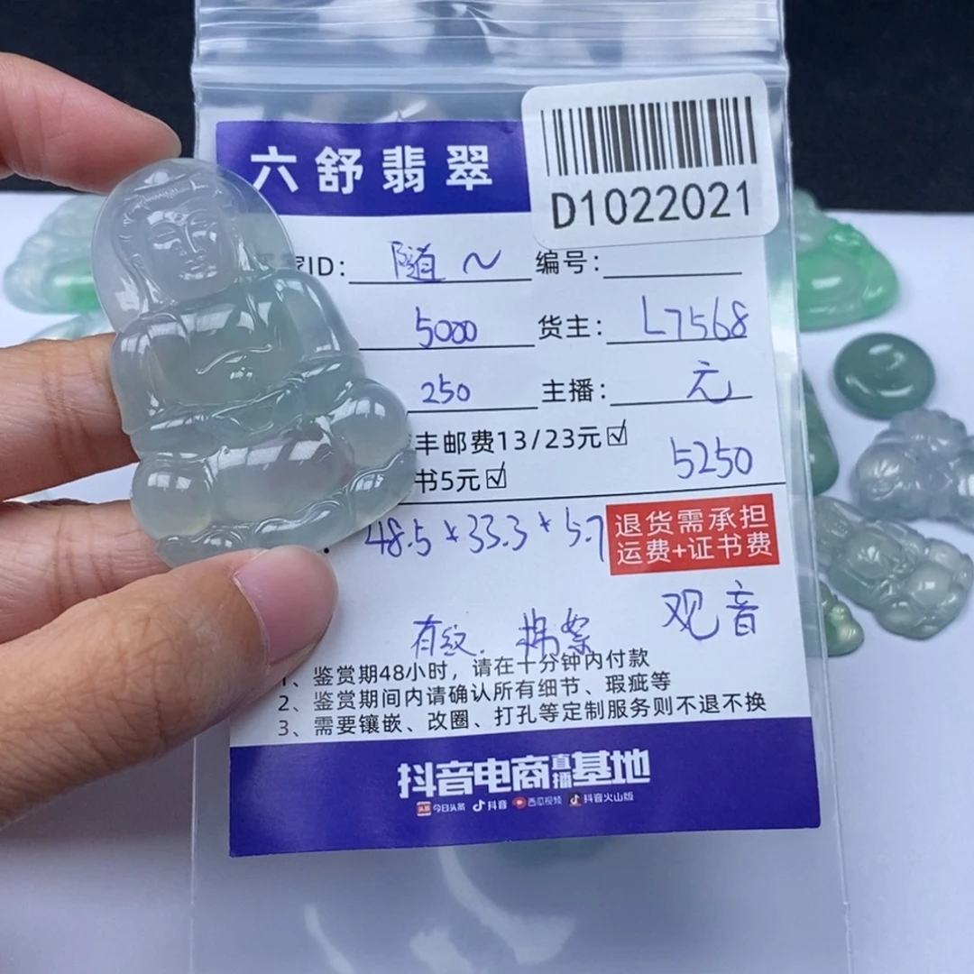 随***欲翡翠未镶嵌颈饰D1022021