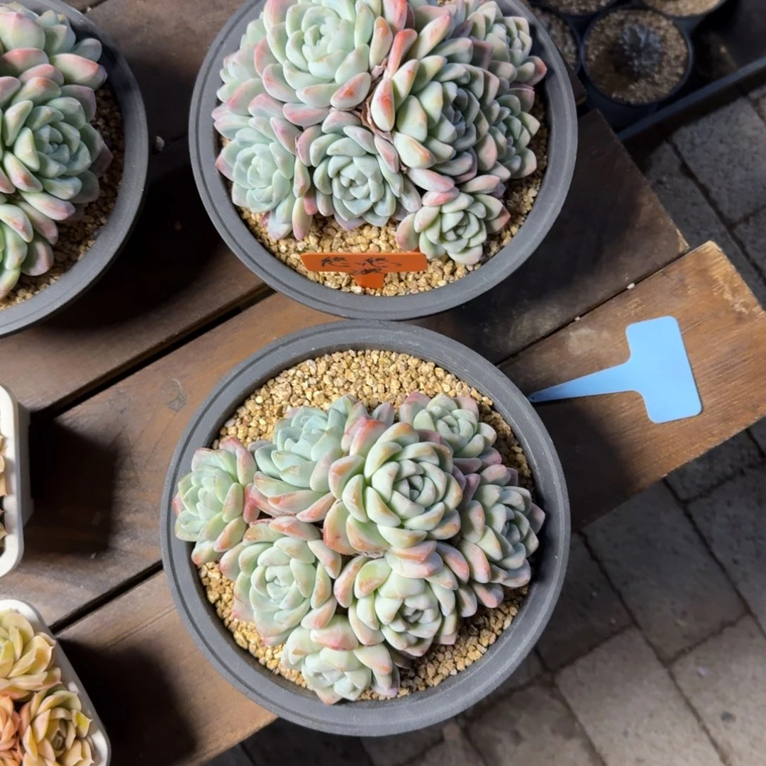 悠***悠11111111111111111111