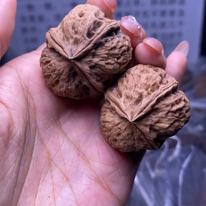 核桃云南野生铁核桃6号36mm
