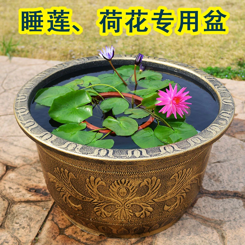 家用阳台铜钱草专用塑料花盆养荷花养鱼睡莲花盆水培缸水泥灰花盆
