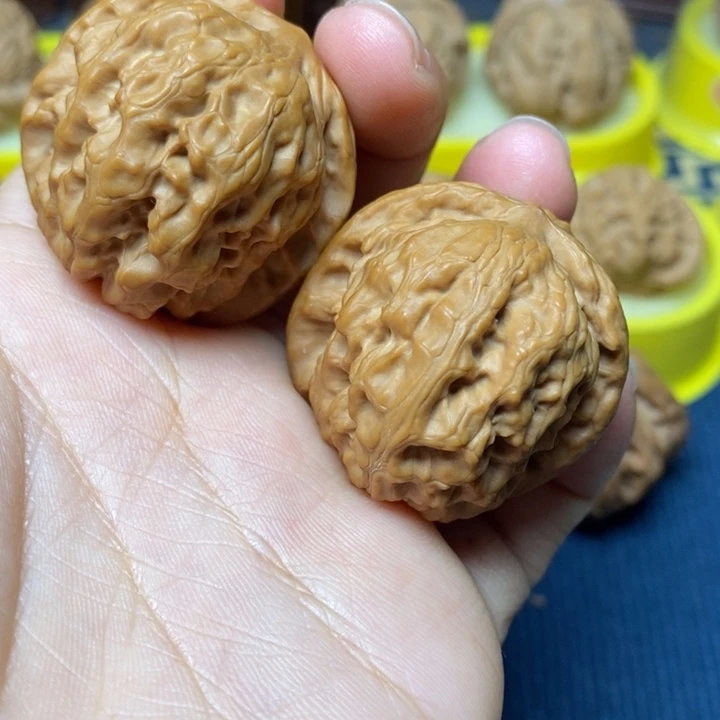 文玩核桃全品野狼37