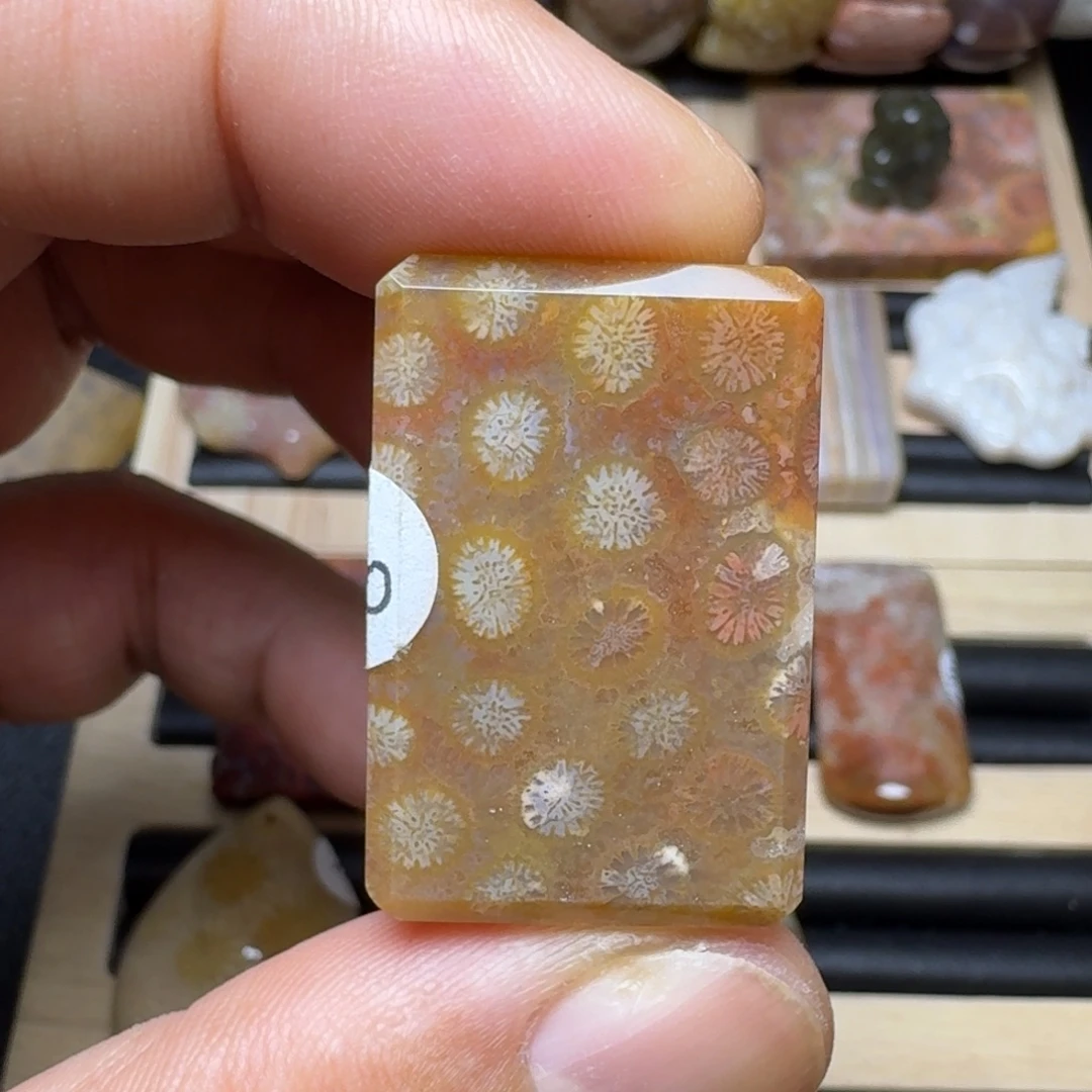 未镶嵌纯天然色有机玉石保真色硅化玉