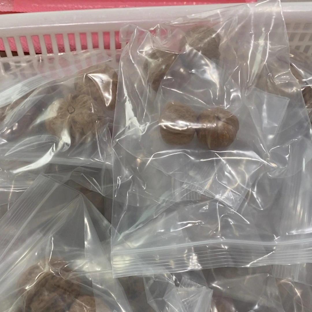 文玩核桃吊坠元宝青蛙有瑕疵