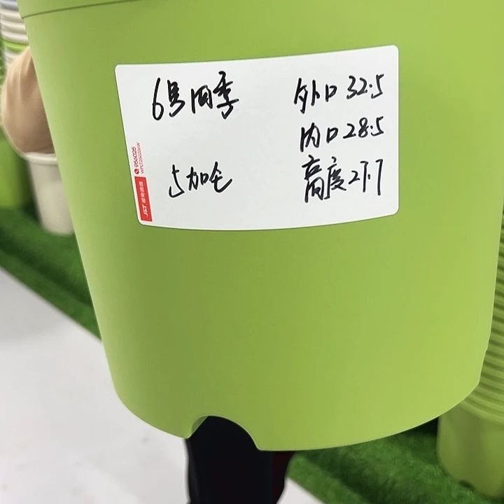 特价6号四季盆口32高28混色无托7支