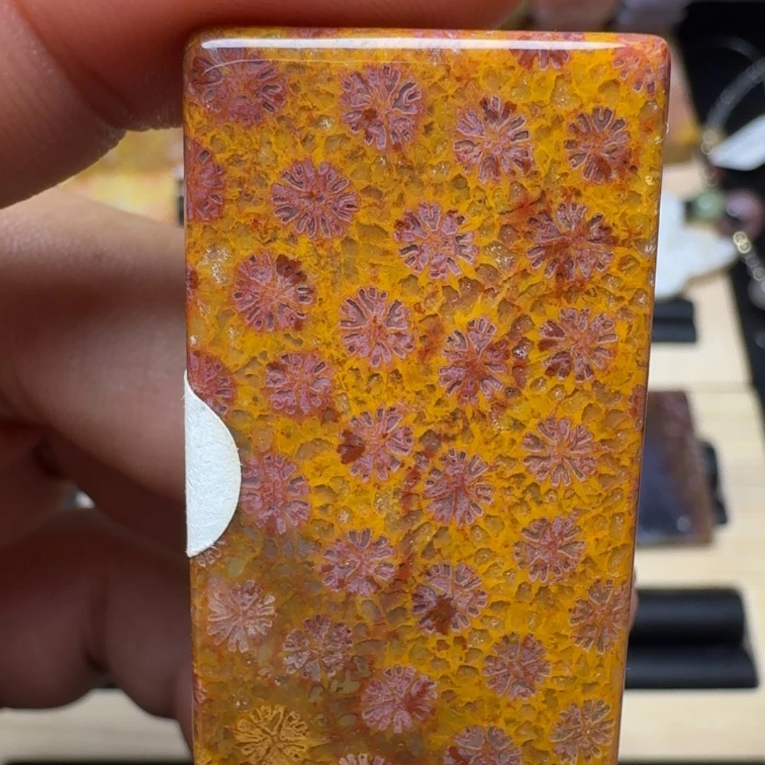 未镶嵌纯天然色有机玉石保真色硅化玉