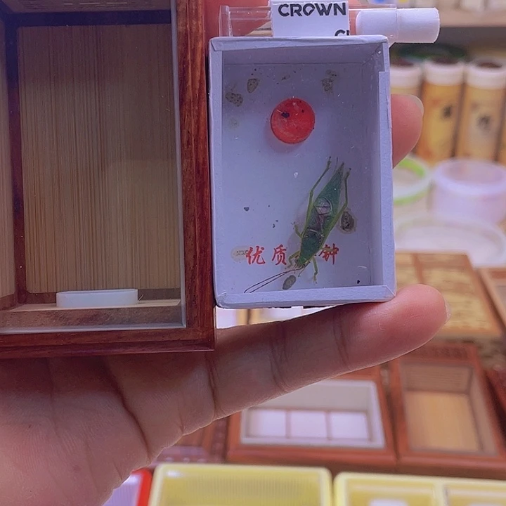 飞***猫毛师傅盒+加湿器送金钟 顺丰到付
