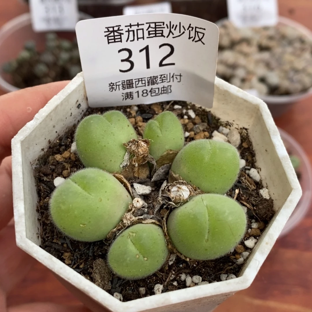 感谢您的光临，00312