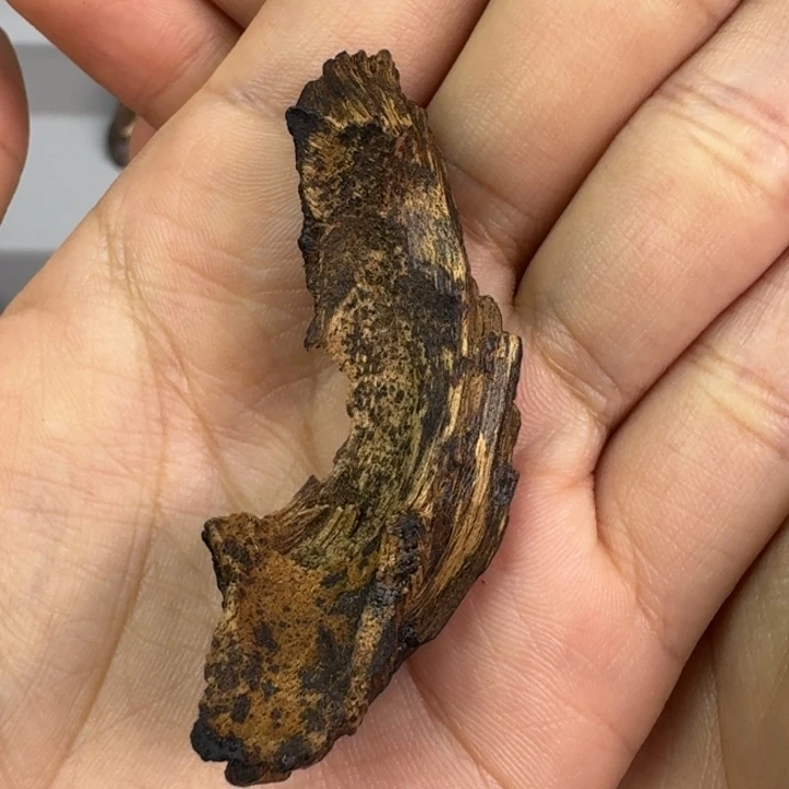 伟业香堂越南九分沉3.2克