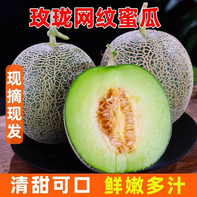 山东网纹蜜瓜玫珑瓜甜糯多汁冰激凌口感新鲜可口软甜鲜嫩水果