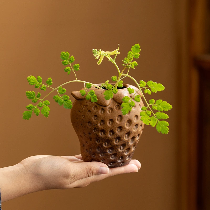 酱釉粗陶花瓶铜钱草水培陶瓷花盆室内桌面绿植盆栽摆件半手工花器