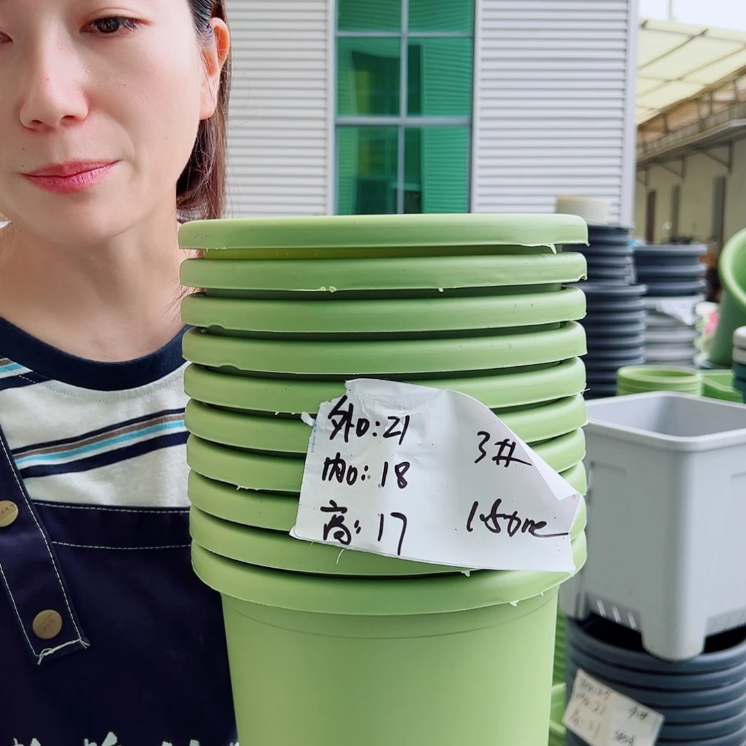 瑕疵四季盆3#果绿10个无托