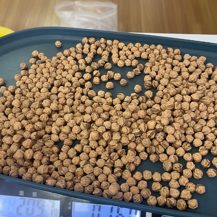 腊***三手串柏香籽/百香籽210克8+B015