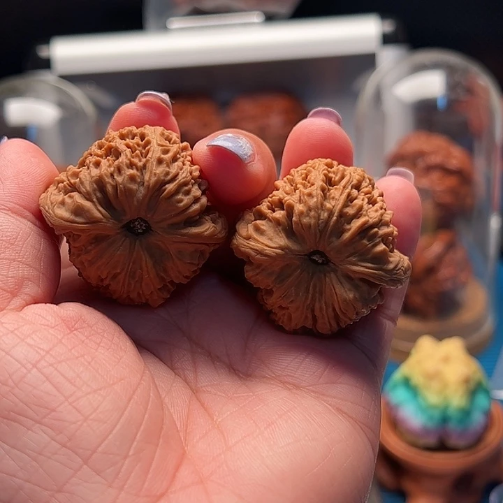 文玩核桃把件凹地炮弹南疆 全品
