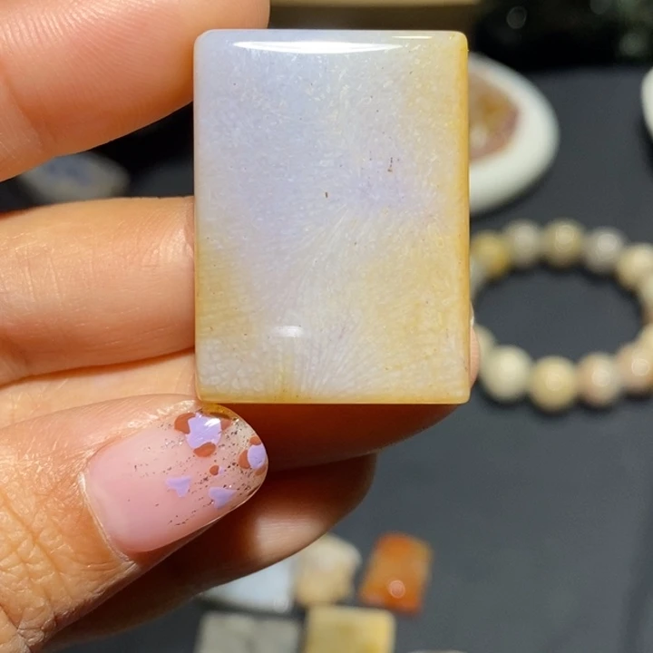 【闪购商品】未镶嵌珊瑚玉硅化玉