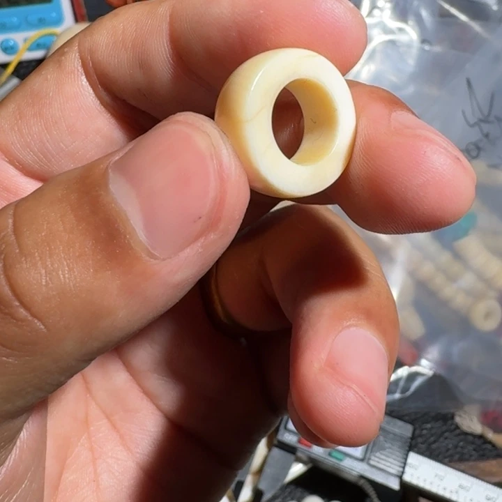 X***海吊坠菩提根/象牙果