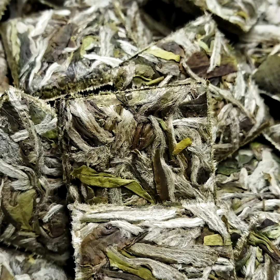 2025（初雪）白牡丹一级茶料福鼎磻溪