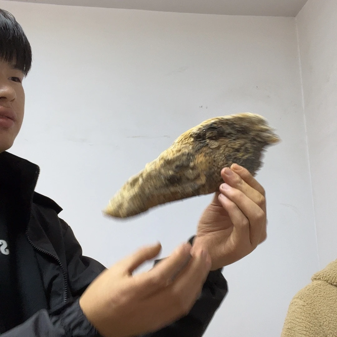 火***山柏木却不想让自己失望透顶也