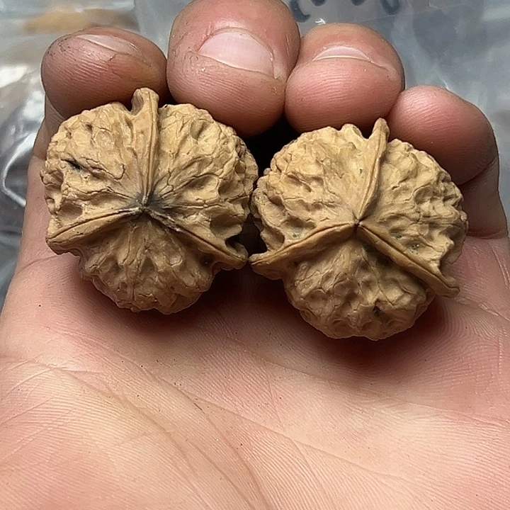 核桃59号三楞手捻33尺