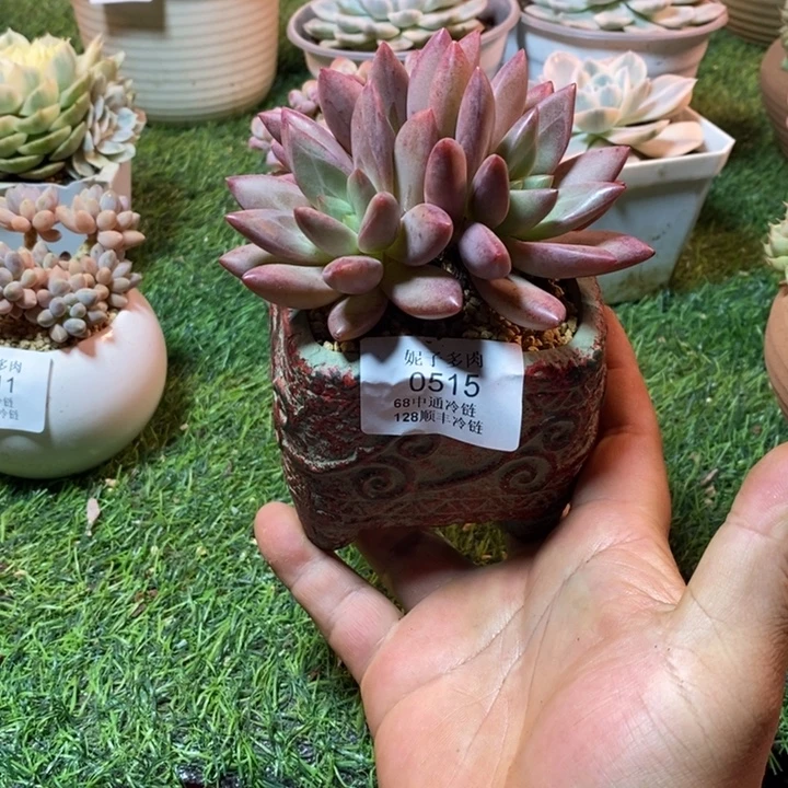 ^***粥0515啊啊啊啊啊啊啊啊啊